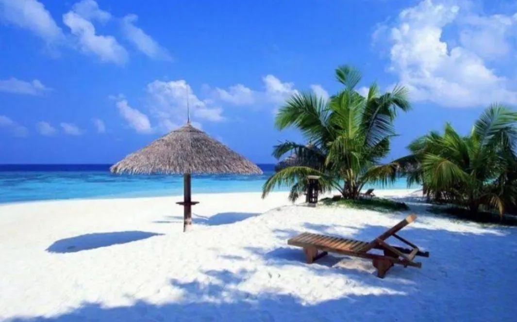 Caribbean Oasis Apartment Playa del Carmen Mexico