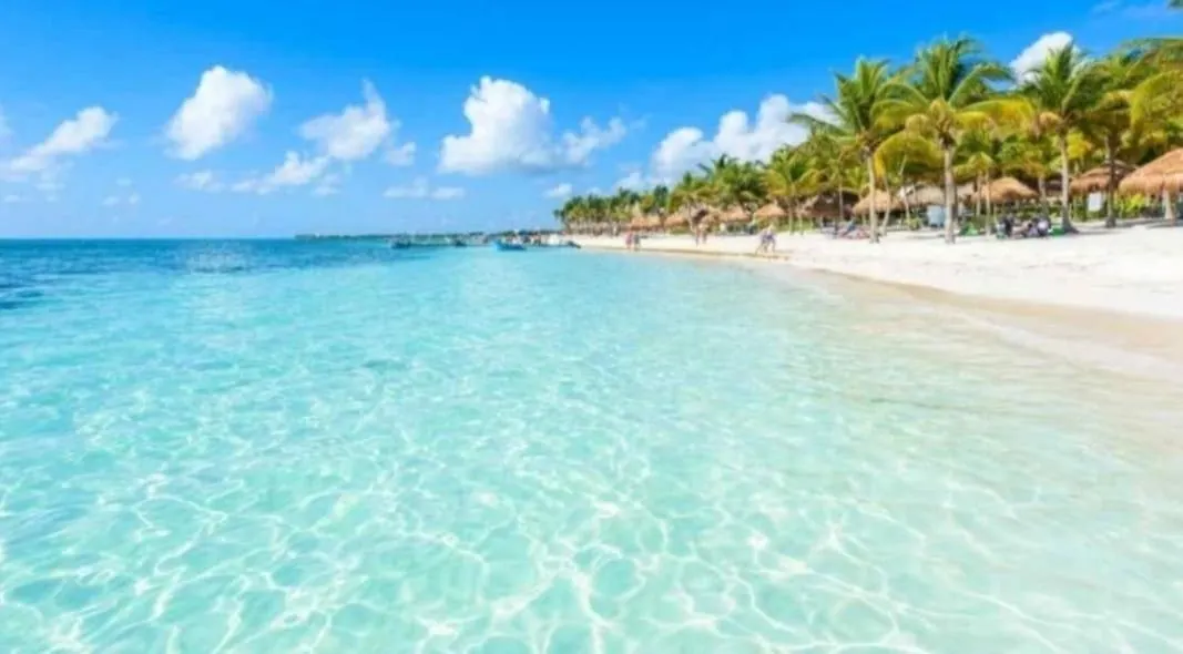 신데 델 카르멘 Caribbean Oasis 아파트 0*, 신데 델 카르멘